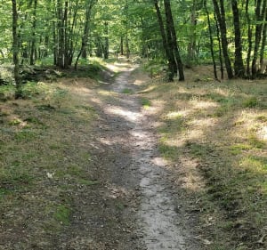 Sentier des sources - Montereau - 4