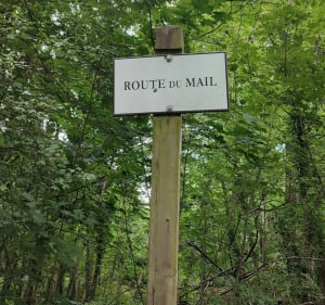 Découverte de la forêt par Etoile du Petit Parc - Saint-Germain-en-Laye - 4