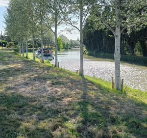 Boucle Villedubert - Marseillette le long du canal du midi. - Delphine - 4