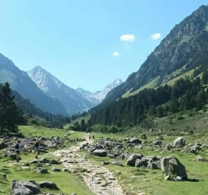 Le long du Gave du Lutour - Cauterets - 4