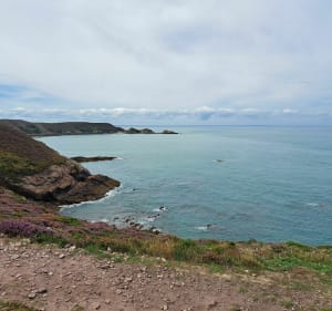 De wilde stranden van Erquy - Erquy - 3