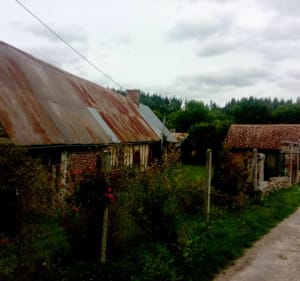 Autour du bois des fortières - La Croisille - 4