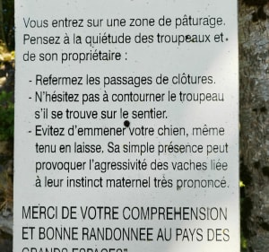 De grot van de Engelsen - Vic-sur-Cère - 4