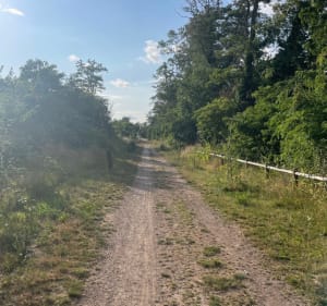 La Peupleraie et Chemin de Beaumont - Hénin-Beaumont - 3