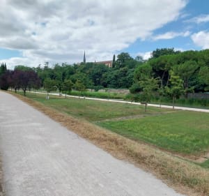 Matabiau-lus van de Gagnac-brug naar Toulouse - Toulouse - 3