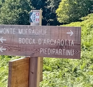 Monte Muffraje et Forêt de San Pietro d'Accia - Piedipartino - 5