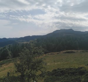 Sentier d'eole - Saint-Clément - 3