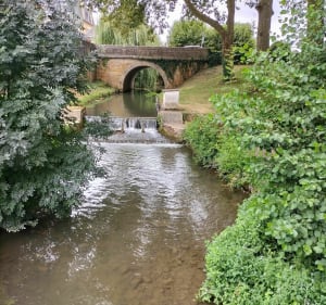 Vives eaux de Vivonne - Nathalie - 4