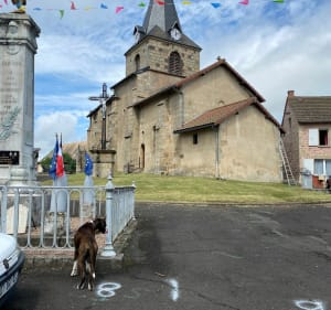 St Priest , la cascade et ses alentours - Saint-Priest-des-Champs - 4