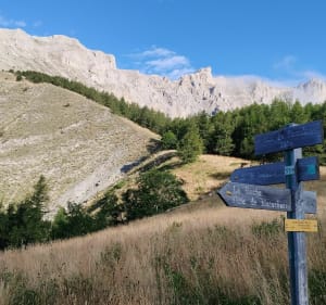 La Roche / Conode / La Barre / Les Baux - retour par le Petit Buëch - La Roche-des-Arnauds - 5