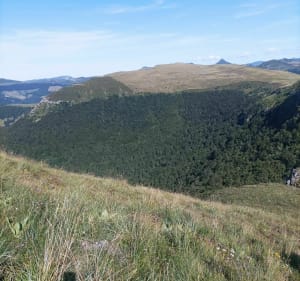 Belle balade au Puy Violent - Saint-Paul-de-Salers - 3