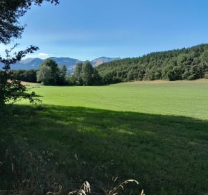 Voyage sur la voie romaine à La Bâtie-Neuve - La Bâtie-Neuve - 3