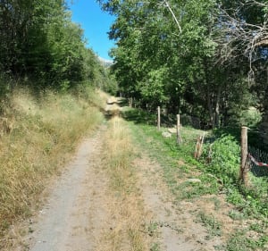 Voyage sur la voie romaine à La Bâtie-Neuve - La Bâtie-Neuve - 5