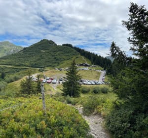 Petite randonnée en Haute-Savoie à travers les myrtilles - Châtel - 3