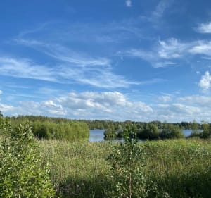 Rieulay et Etang des Argales - Franck - 5