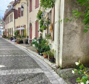 Salies-de-Béarn par le Pain de Sucre - Salies-de-Béarn - 5