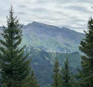 Petite randonnée en Haute-Savoie à travers les myrtilles - Châtel - 4