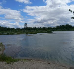 Balade du lac de la Forestière au lac d'Emprunt - Jonage - 5