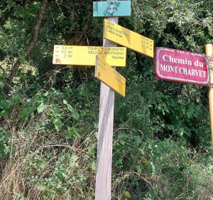 Gigny-sur-Suran vers le château d'Andelot - Peggy - 4