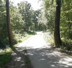 Villemoisson - Saint-Germain les Arpajon. Ballade nature - Henry - 4