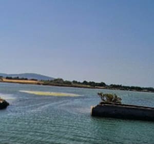 Balade Castelnau-le-Lez /Etang de Vic - Castelnau-le-Lez - 4