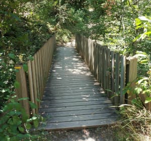 Sentier de l'Ichtyosaure - La Robine-sur-Galabre - 4