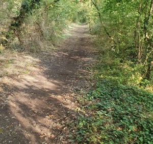 Autour de La Loire à vélo - Ingrandes-le-Fresne-sur-Loire - 5