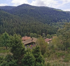 Le Pré Jacquot-Moyenmont - La Bresse - 5