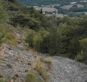 Single aux Aroncis - La Bâtie-Neuve - 5