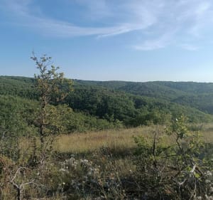 Balade sur les Causses du Quercy - Cahors - 3