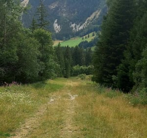 Randonnée jusqu'au Mont Bochor par le sentier des Pariettes - Pralognan-la-Vanoise - 3