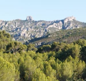 Allauch ancien chemin de Cadolive - Allauch - 3