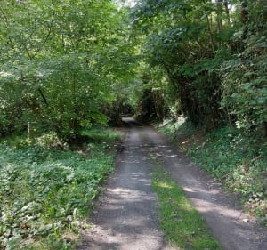 Wargnies le petit - Preux-au-Sart - 5