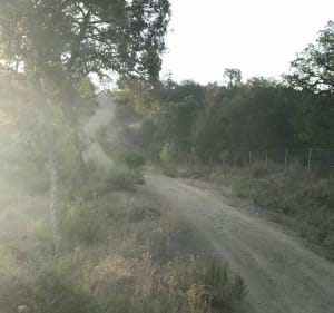 Sur les hauteurs de Roquebrune - Roquebrune-sur-Argens - 3