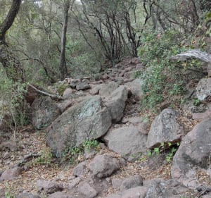 Wandeling van de 3 kruizen van de Roquebrune-rots - Le Muy - 5