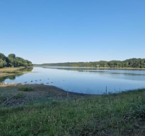 Tour du Lac de la Gioule - Cazères-sur-l'Adour - 3