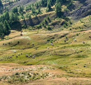 Belle balade depuis le Col d’Allos, à Baisse de Prenier - Uvernet-Fours - 4