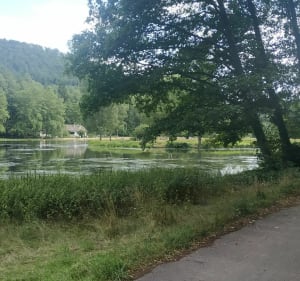 Beau parcours VTT mi route mi chemin autour du Soultzthal. - Gœrsdorf - 4