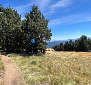 Paysages du Mont Llaret jusqu’au bas des Angles - Les Angles - 3