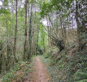 Sur les chemins du Moulin du Périé depuis Sérénac - Sérénac - 4