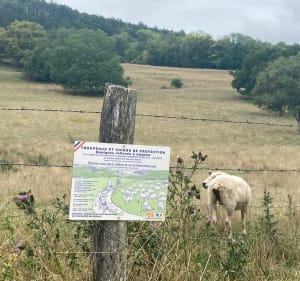 Une mise en bouche, à vélo, en course à pied ou randonnée - Givry - 4