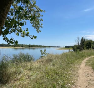 Petite boucle de St-Rémy-La-Varenne - Brissac-Loire-Aubance - 4