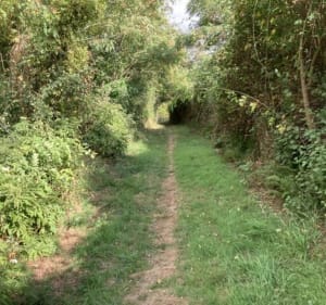 Sentier de l’Adour entre Mugron et Nerbis - Mugron - 3