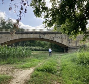 Sentier de l’Adour entre Mugron et Nerbis - Mugron - 4