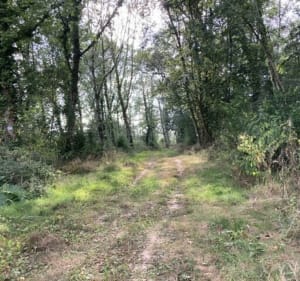 Sentier de l’Adour entre Mugron et Nerbis - Mugron - 5