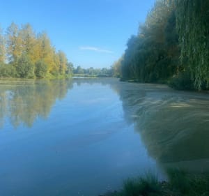 Berge du canal, bordures d’étangs autour de Vendeuil - Vendeuil - 3