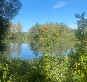 Berge du canal, bordures d’étangs autour de Vendeuil - Vendeuil - 5