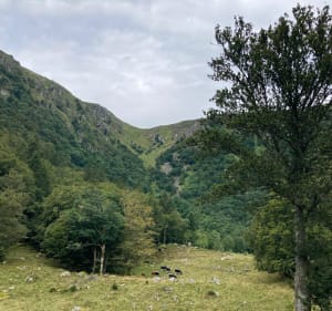 Sentier des Roches au départ des Trois Fours - Zoé - 4