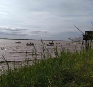 De Blaye au petit port de la Roque de Thau - Isa - 3