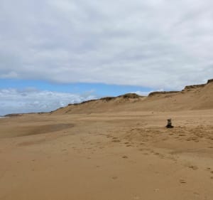 Entre forêt, mer et marais à Olonne-sur-Mer - Les Sables-d'Olonne - 4